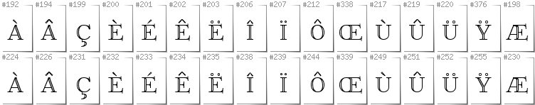 French - Additional glyphs in font FoglihtenNo01