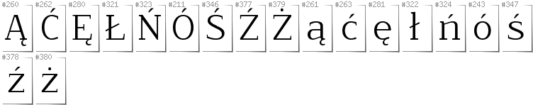 Polnisch - Zusätzliche Zeichen in der Schrift NoName02