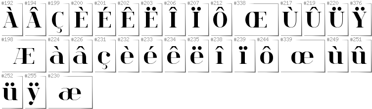 French - Additional glyphs in font Spinwerad